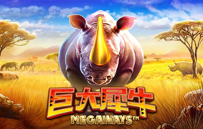 大红鹰dhy6563