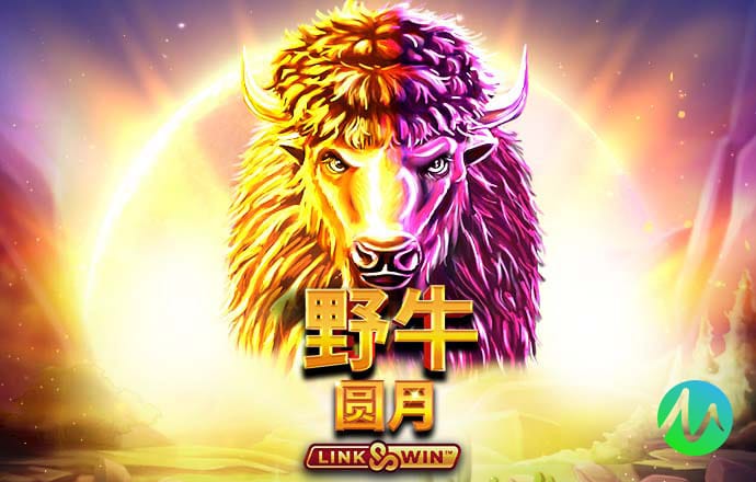 竞技联盟官网版